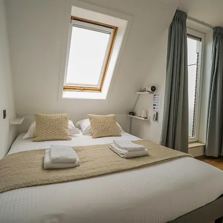 Huswell - Perfect At Where Pets Are Welcome